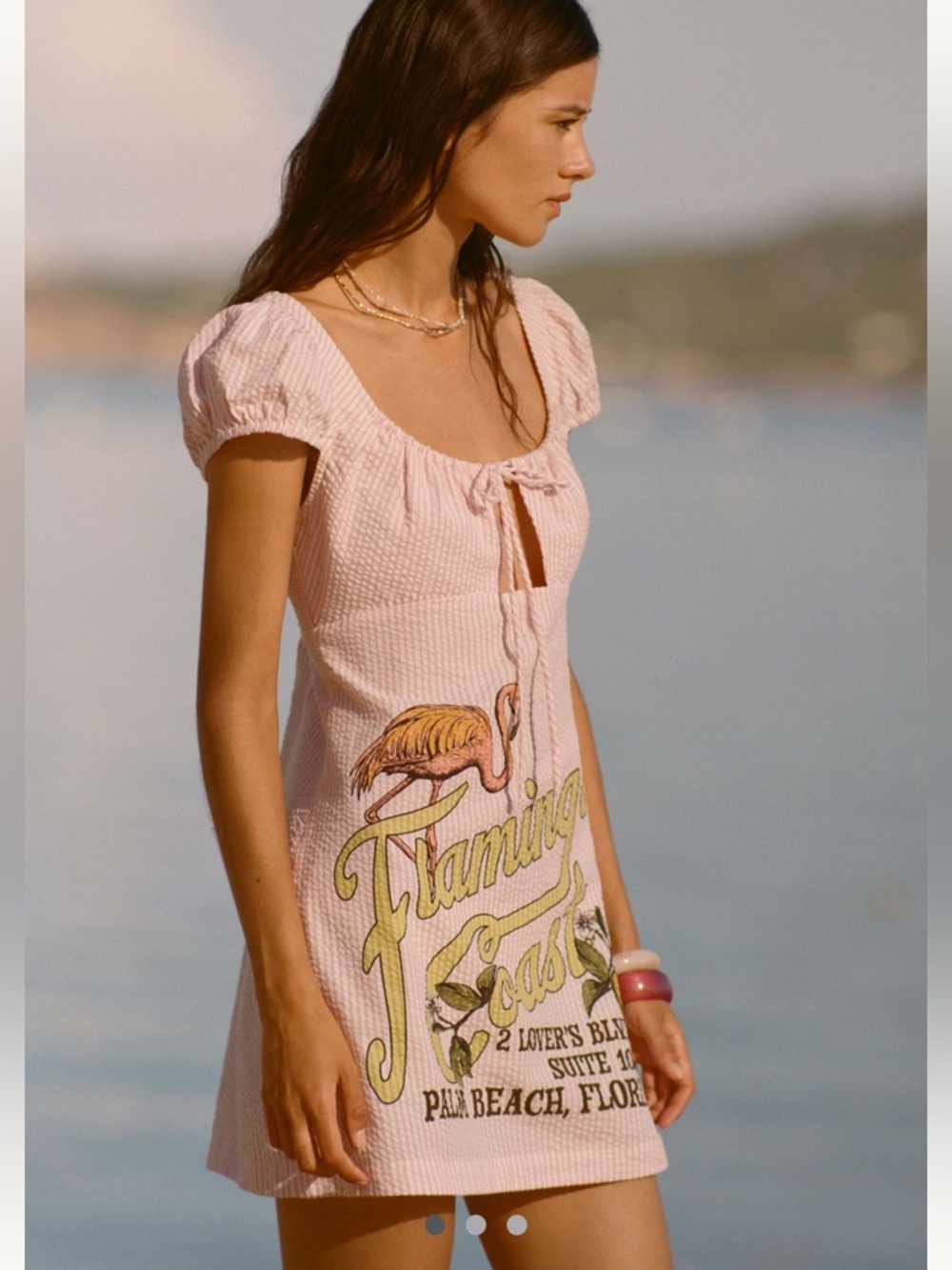 Anthropologie Celandine Scoop-Neck Front Tie Mini Dress